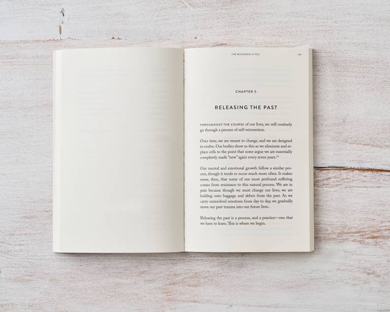 The Mountain Is You - Book