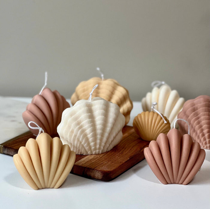 Scallop Shell Candle