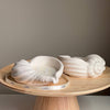 Two shell-shaped candles on a wooden stand with a neutral background